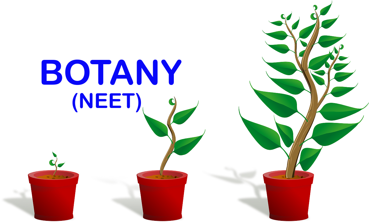 BOTANY